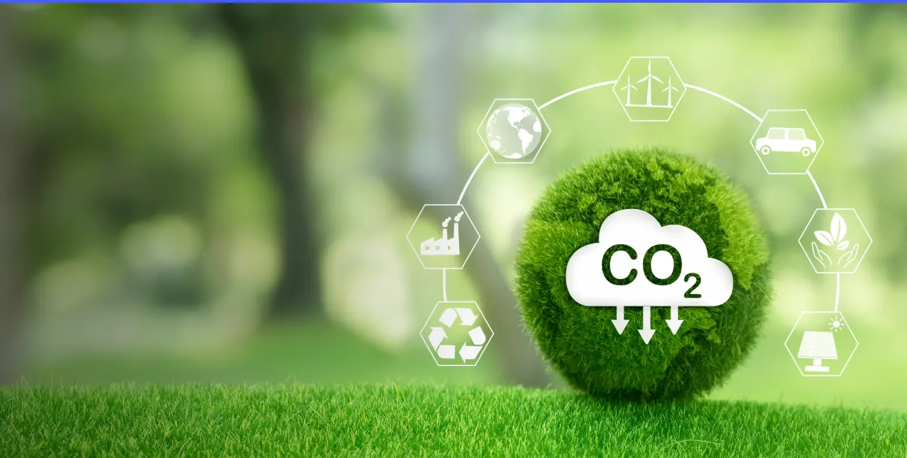 Como gerar receita com créditos de carbono: veja estratégias para lucrar com o mercado de carbono