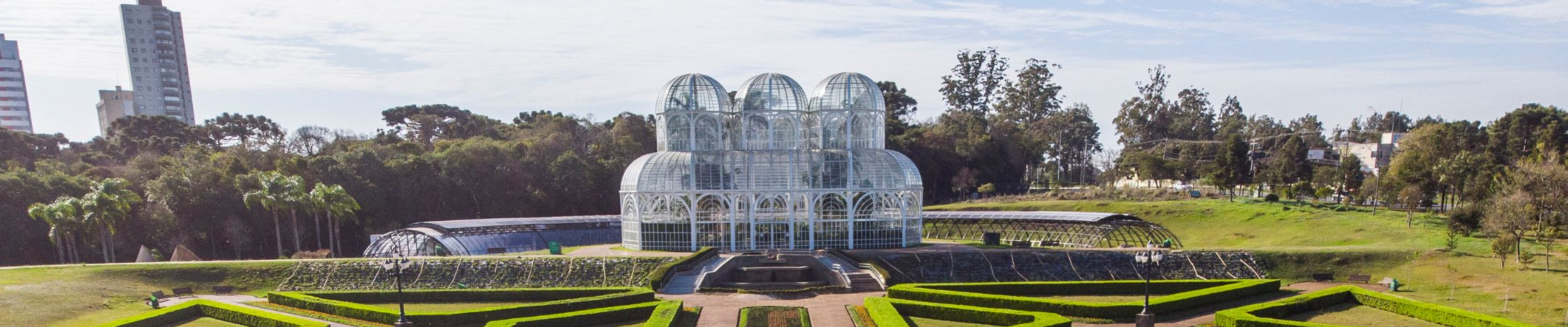 Empresas podem se beneficiar com Mercado Municipal de Créditos de Carbono em Curitiba; entenda como