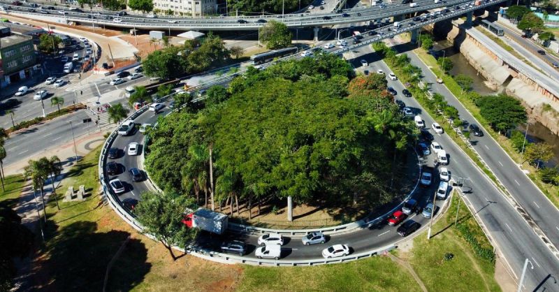 Inventário de carbono vira exigência: São Paulo torna obrigatório e SC quer transformar em política pública